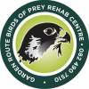 tom ricardi with mass. bird of prey rehab center