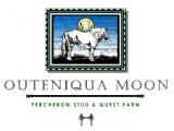 Outeniqua Moon Percheron Stud & Guest Farm: Outeniqua Moon Percheron Stud