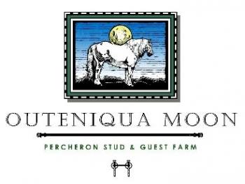 Outeniqua Moon Percheron Stud & Guest Farm: Outeniqua Moon Percheron Stud