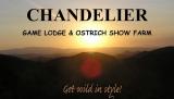 Chandelier Game Lodge & Ostrich Show Farm