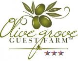 Olive Grove Guest Farm: Olive Grove Guest Farm