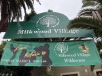 Friday Night Market at the Milkwood Village Friday Night Market at the Milkwood Village