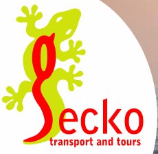 gecko tours south africa
